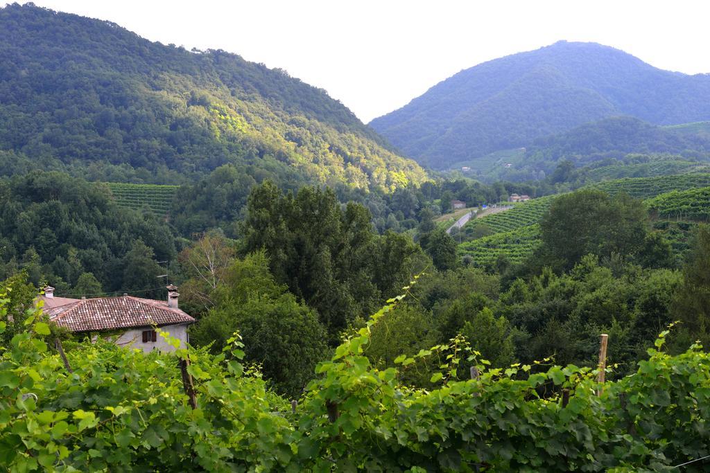 B&B Casa Di Campagna Miane ห้อง รูปภาพ